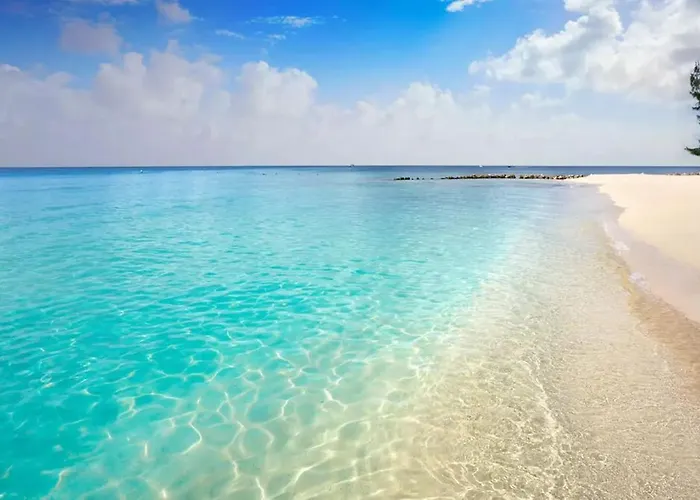 Confortable Estudio Frente Al Mar De A2 Cozumel